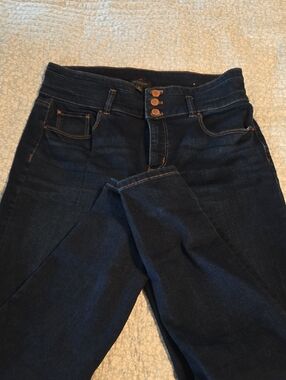 Ann Taylor High-Rise Dark Indigo Jeans with Triple-Button Waist
